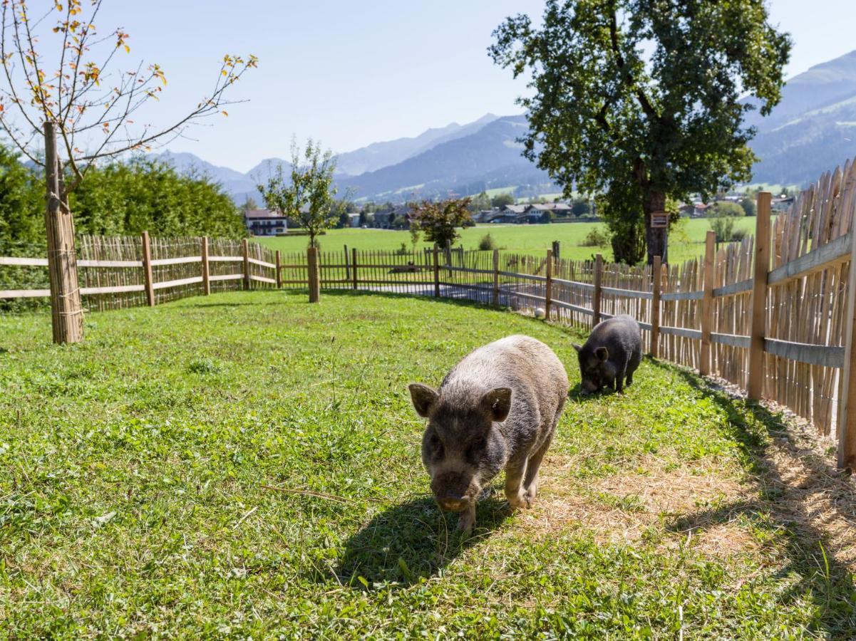 Narzenhof Wellness Chalets, Familien & Luxus Apartments Am Bauernhof Sankt Johann in Tirol Eksteriør bilde