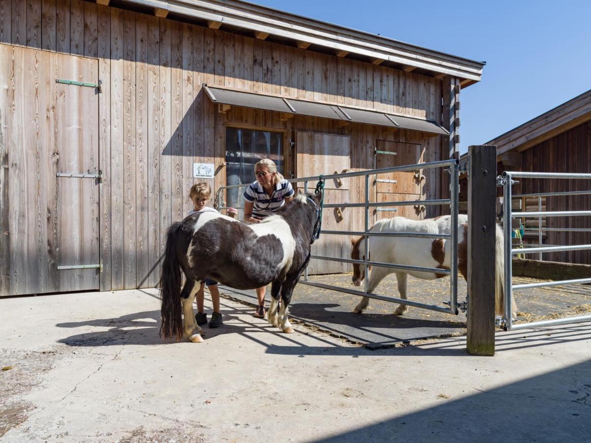 Narzenhof Wellness Chalets, Familien & Luxus Apartments Am Bauernhof Sankt Johann in Tirol Eksteriør bilde