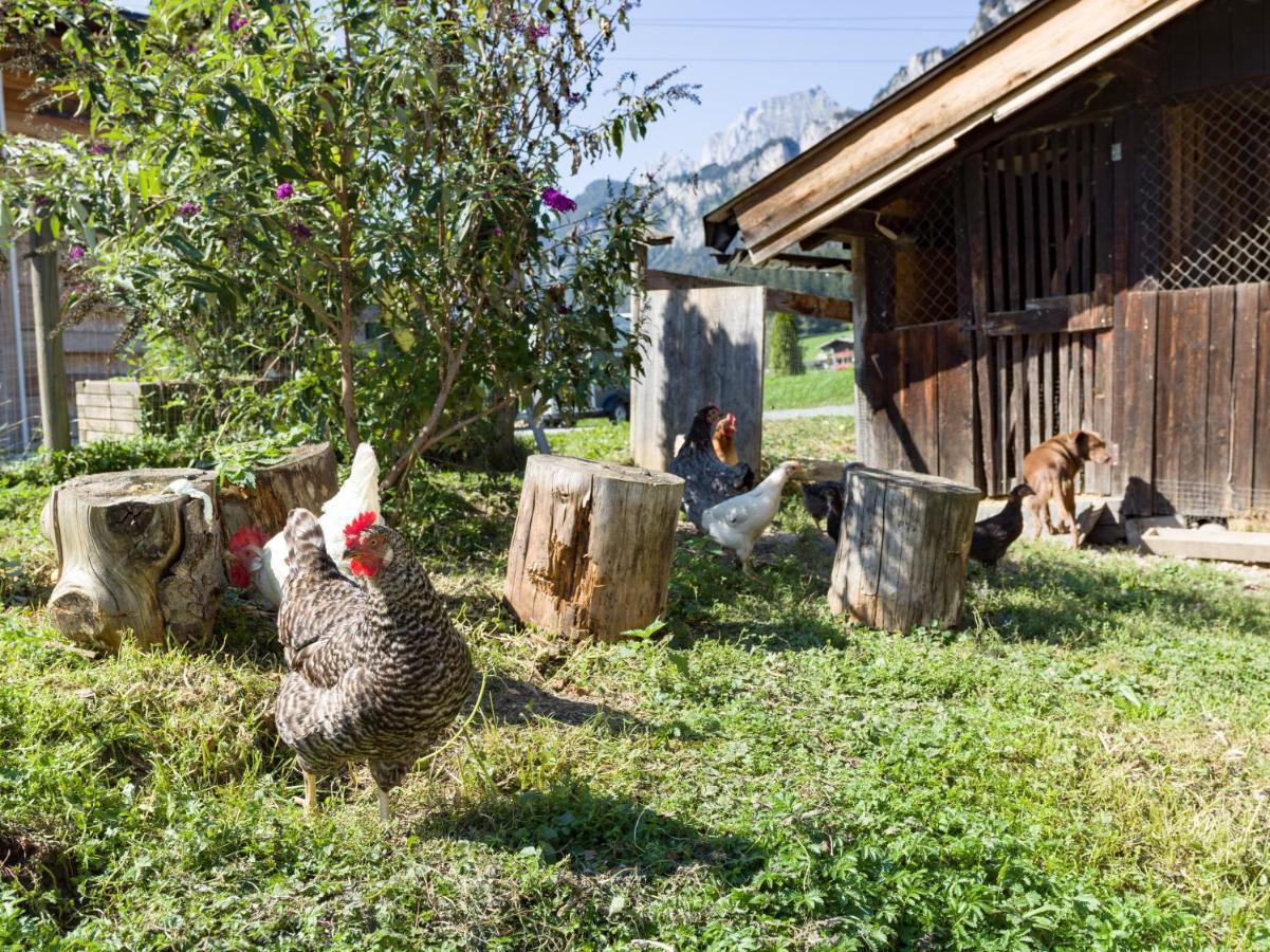 Narzenhof Wellness Chalets, Familien & Luxus Apartments Am Bauernhof Sankt Johann in Tirol Eksteriør bilde