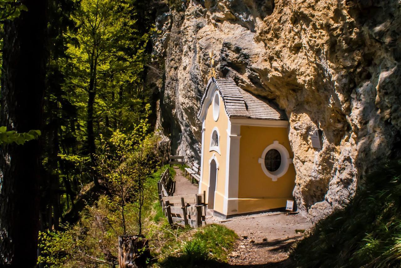 Narzenhof Wellness Chalets, Familien & Luxus Apartments Am Bauernhof Sankt Johann in Tirol Eksteriør bilde