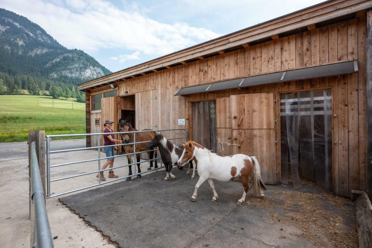 Narzenhof Wellness Chalets, Familien & Luxus Apartments Am Bauernhof Sankt Johann in Tirol Eksteriør bilde
